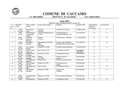 professionisti B - Comune di Caccamo