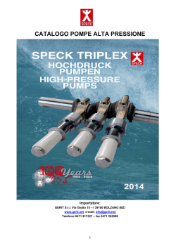 CATALOGO POMPE ALTA PRESSIONE