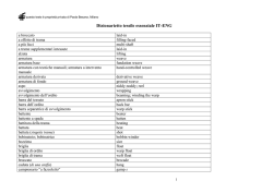 Paola Besana - Anna Ravano - Dizionarietto tessile IT-ENG