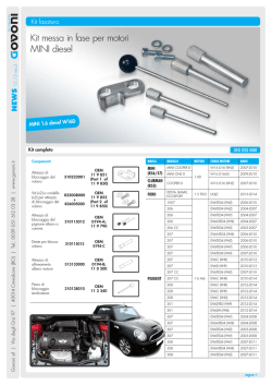 Kit messa in fase per motori MINI diesel