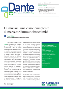 Settembre 2007 &ndash; Scarica il pdf
