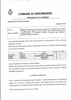 delibera di giunta comunale n&deg; 66 del 10/11/2014