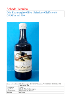 Template Piccolo formato - Consorzio Falcade Dolomiti