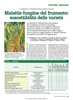 Malattie fungine del frumento: suscettibilità delle varietà