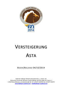 VERSTEIGERUNG ASTA - Südtiroler Haflinger