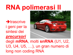 5A ODO gio 6 novembr..