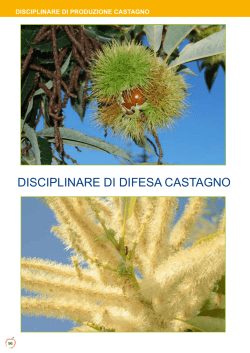 DISCIPLINARE DI DIFESA CASTAGNO