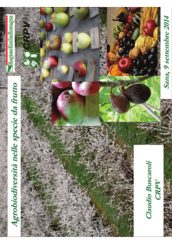 Claudio Buscaroli - Agricoltura e pesca