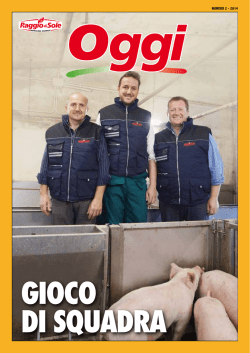 Scarica PDF - Raggio di Sole