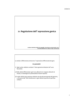 21. regolazione espressione genica - E