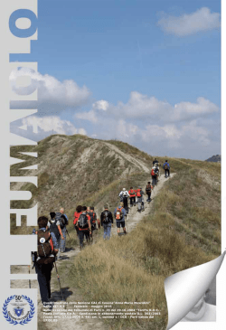 Il PDF &egrave; a questo collegamento