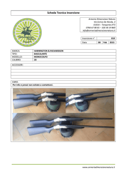 Scheda Tecnica Inserzione
