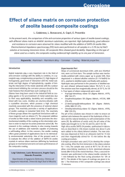 Effect of silane matrix on corrosion protection of zeolite based