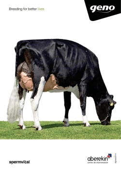 Catalogo agosto 2014 – Holstein