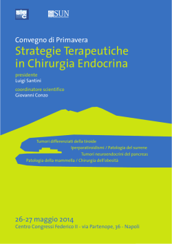 Programma - Siec Italia.eu