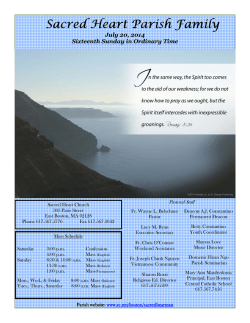 Sixteenth Sunday in Ordinary Time