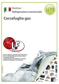 Cercafughe gas