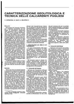 Caratterizzazione geolitologica e tecnica delle calcareniti Pugliesi