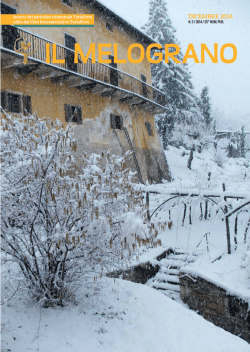 Melograno dicembre 2014