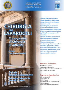 21x29,7 imp progr scientifico_Layout 1