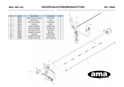 decespugliatore(brushcutter)