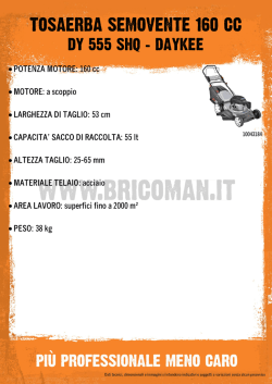 TOSAERBA SEMOVENTE 160 CC