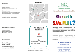 2015.02.27 cos`&egrave; la scheda SVaMDi