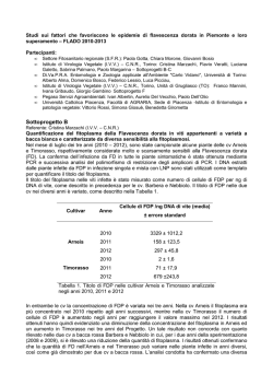 Scarica il programma