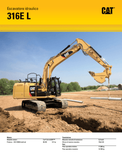 escavatore idraulico 316E L