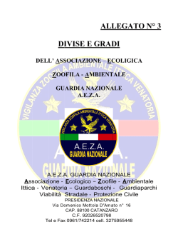 divise - Guardia Nazionale A.E.Z.A.