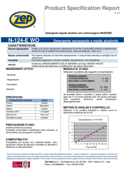 Product Specification Report N-124-E WO