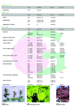 Scarica il listino - Ghelardeschi Piante