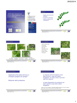 Presentazione prof. Sivilotti (1.1 MB)