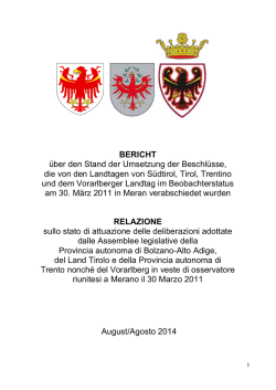 Gemeinsamer Bericht (Endbericht)