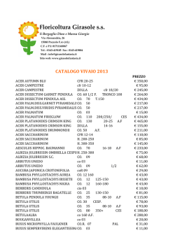 LISTINO VIVAIO GIRASOLE