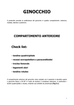GINOCCHIO - AIFI Liguria
