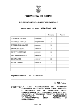 PROVINCIA DI UDINE