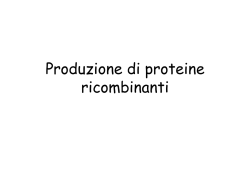 espressione proteine ricombinanti - e