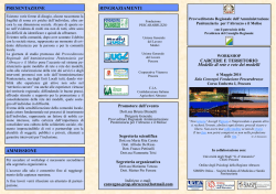 Carcere e territorio. Modello di Rete e Rete dei Modelli