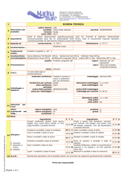 Scheda tecnica pdf