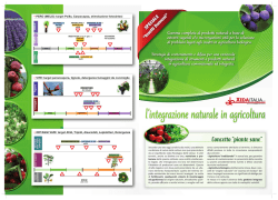 Concetto &ldquo;piante sane&rdquo;