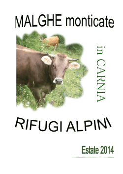 Scarica il documento