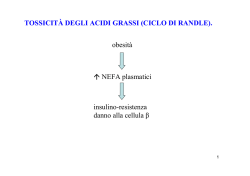 TOSSICIT&Agrave; DEGLI ACIDI GRASSI (CICLO DI RANDLE). obesit&agrave;