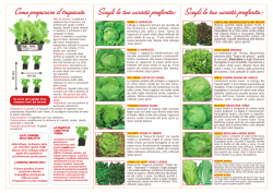 Come preparare il trapianto Scegli le tue variet&agrave; preferite: Scegli le