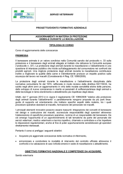 Programma e curricula