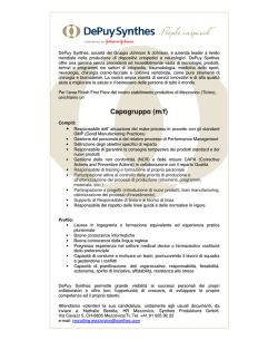Capogruppo (m/f)