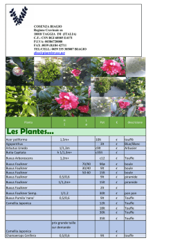 Les Plantes... - Vivaio Cosenza Biagio.eu