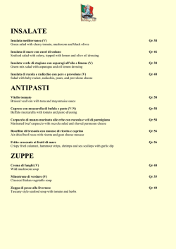 Scarica a il testo completo(formato PDF)