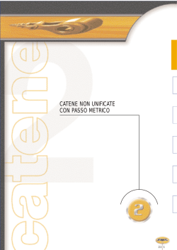 Catene non unificate con passo metrico