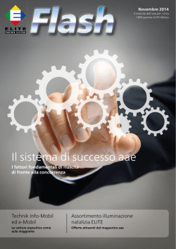 Il sistema di successo aae